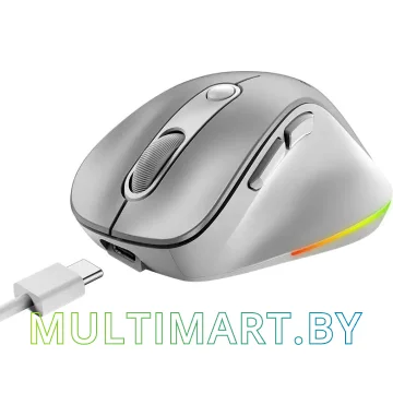 Мышь Genius Ergo 9000S Pro (серебристый) картинка 3
